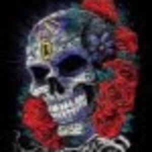 Meet your Posher, Aleha